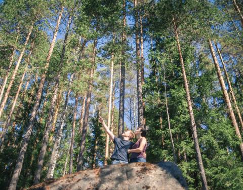 Kaksi retkeilijää istuu kivellä metsässä.