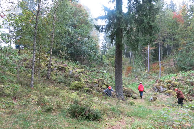Syksysessä metsässä talkooväkeä.