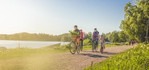 Kolme aikuista ja lapsi pyöräilemässä kesällä auringon paisteessa.