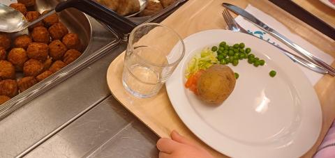 A child wearing a hoodie in gradient pastel colors is taking meatballs onto her plate at the buffet line.