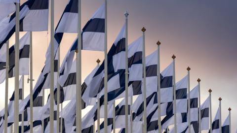 Suomen lippuja rivissä. 