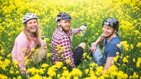 Ihmisiä keltaisella kukkakedolla pyöräilykypärät päässä.