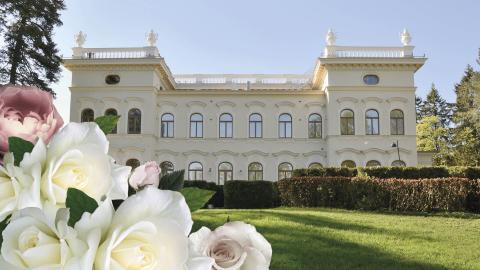 Valkoinen palatsimainen rakennus, edustalla ruusuja.