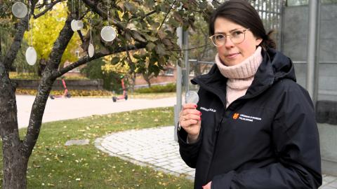 Liikuntakoordinaattori Laura Kostiainen ripustaa heijastimia puuhun.