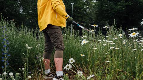 Henkilö keltaisessa takissa niityllä talkoilemassa.
