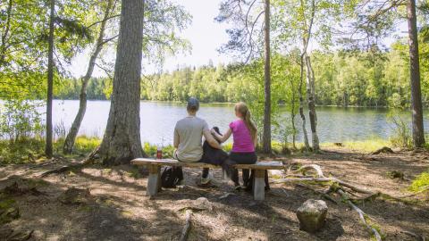 Pariskunta koiran kanssa istumassa penkillä metsässä järven rannalla aurinkoisena kesäpäivänä.