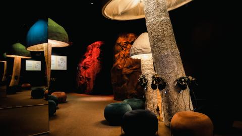 Valaistuja jättisieniä näyttelytilassa. Lattialla istuimia, sienissä on kiinni kuulokkeita.