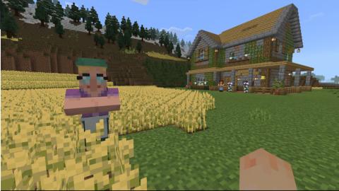 Näkymä Minecraft-pelistä. Taustalla rakennus, edessä pelihahmo, vihreää ruohoa ja keltaisia kasveja.