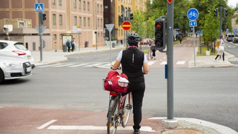 A person with a bicycle stands on traffic lights.