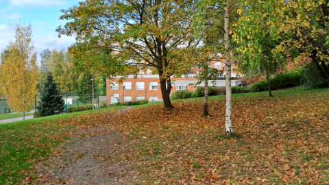 Kaarilan koulu ruskakuva