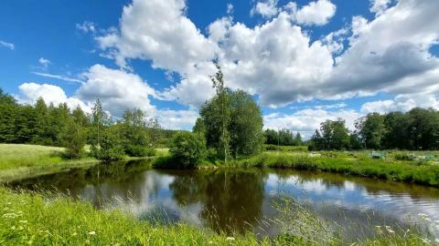 Vuohenoja virtaa virtaa Huhmarpellon ja Varsanpuiston läpi.