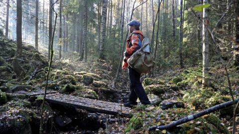 Retkeilijä ylittää ojan puusiltaa pitkin syskyisessä metsässä.