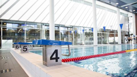 Swimming pool area, diving board and swimming pool.