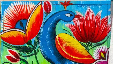 Sini- ja punasävyinen maalaus riikinkukosta.