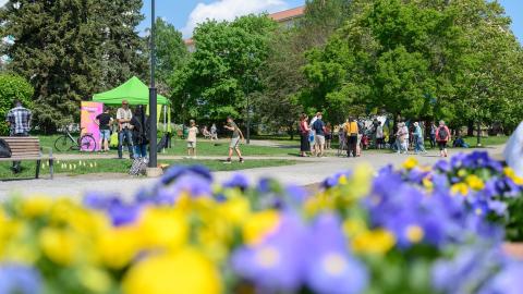 People are spending time in the park on a summer day.