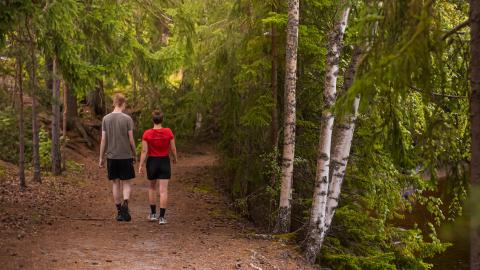 Nuoret kävelevät Kaupissa metsän keskellä luontopolkua. 