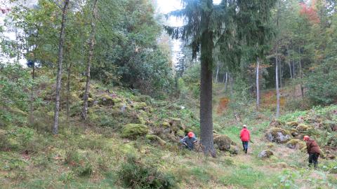 Syksysessä metsässä talkooväkeä.