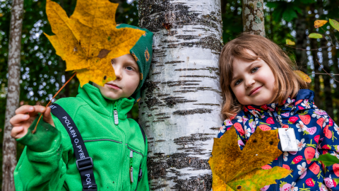 Two children are leaning against a birch tree, whilst another is holding a large maple leaf in front of them.