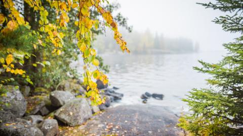 Näkymä kallioiselta rannalta järvelle syksyisen harmaana päivänä. 