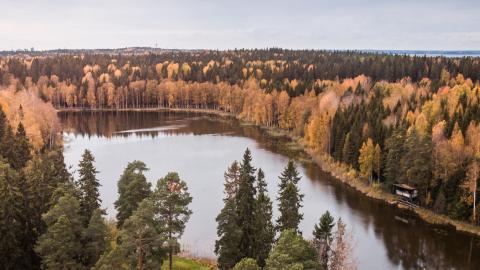 Syksyn ruskaa metsäisen järven ympärillä.