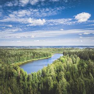 Näkymä Kauppi-Niihaman metsään ja Niihamanjärvelle