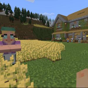 Näkymä Minecraft-pelistä. Taustalla rakennus, edessä pelihahmo, vihreää ruohoa ja keltaisia kasveja.