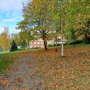 Kaarilan koulu ruskakuva