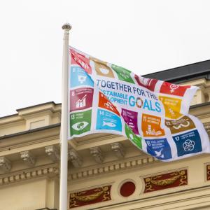 SDG flags fly in front of Raatihuone