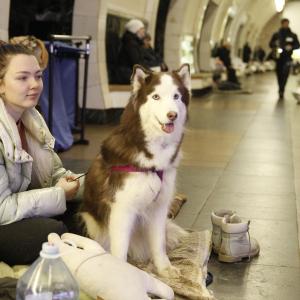 A girl sitting inside the subway station with a dog.