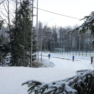 Skiers on ski track.