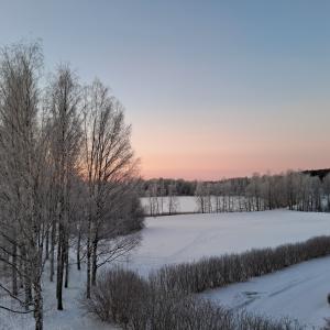 Kaarilan koulun talvikuva 2026