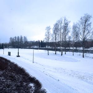 Hiihtolatu Ratinnanniemessä