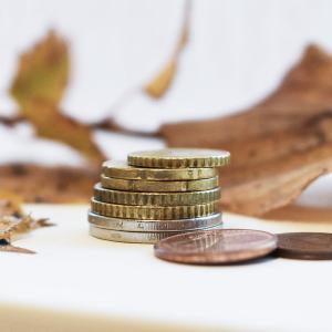 Kolikoita pinossa. Takana lehtiä ja oksa.