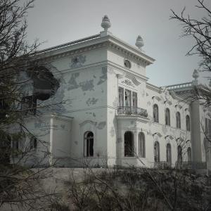 Milavidan valkoinen palatsi pommitusten jäljiltä, edessä lehdettömiä puita.