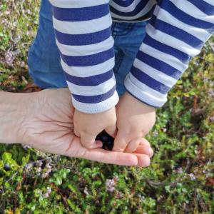 Lapsen kädet ottamassa mustikoita aikuiselta. 