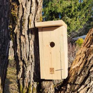 Uusi linnunpönttö puussa.