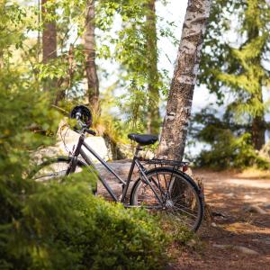 Polkupyörä parkkeerattuna Kaupin metsässä.