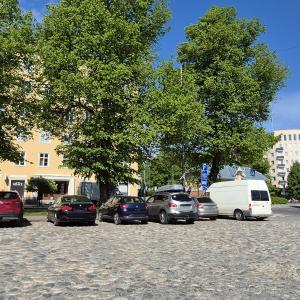 Pyynikintorin nupukivinen parkkipaikka isojen puiden edessä kesällä.