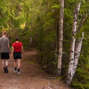 Young people are walking along a nature trail in Kauppi, in the middle of the forest. 