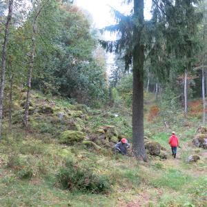Syksysessä metsässä talkooväkeä.