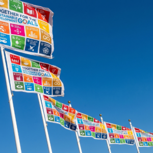 A row of colourful flags on flagpoles.