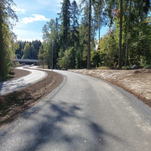 Jalkakäytävä ja pyörätie Peltolammin alueella syksyllä kuvattuna.
