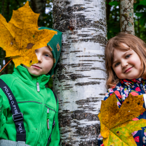 Two children are leaning against a birch tree, whilst another is holding a large maple leaf in front of them.