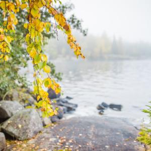 Näkymä kallioiselta rannalta järvelle syksyisen harmaana päivänä. 