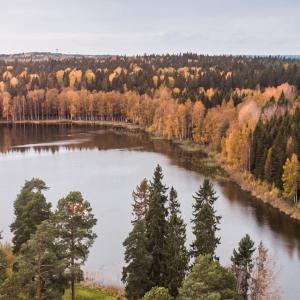 Syksyn ruskaa metsäisen järven ympärillä.