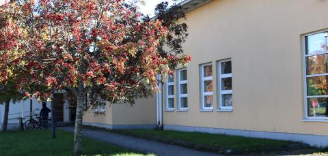 Kaukajärven kirjasto syksyllä.