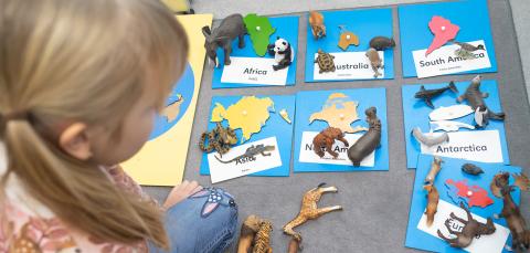 Lapsi katselee leikkieläimiä ja eläinten asuipaikoista tehtyjä lappuja lattialla.