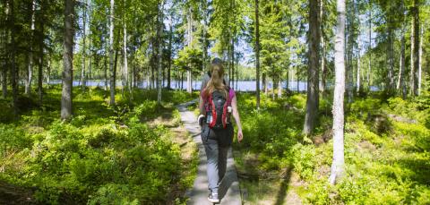 Kaksi retkeilijää ja koira Koukkujärven luontopolun pitkospuilla kesällä.