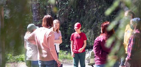 Nuoria puiden katveessa aurinkoisessa metsässä.