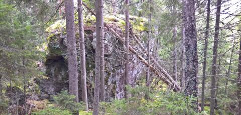 Ojalan siirtolohkare keskellä metsää.